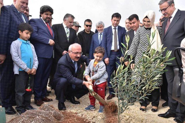 Bakan Elvan, ’Zeytin Dalı Harekatı’ şehitleri için fidan dikti