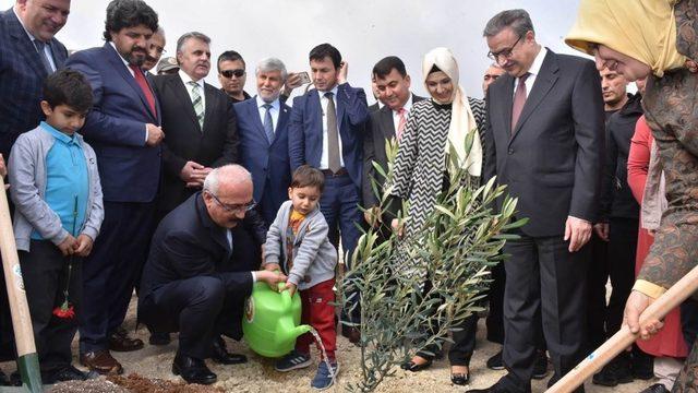 Bakan Elvan, ’Zeytin Dalı Harekatı’ şehitleri için fidan dikti