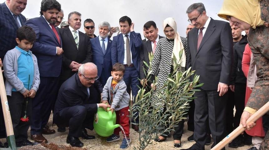 Bakan Elvan, ’Zeytin Dalı Harekatı’ şehitleri için fidan dikti