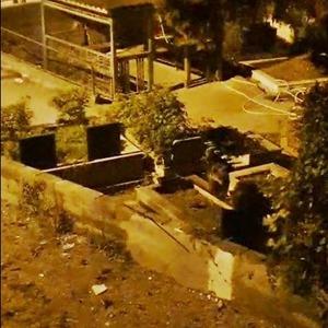 Zonguldak’ta mezarlıkta iki ayı yavrusu görüldü