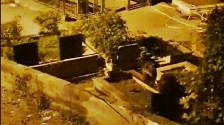 Zonguldak’ta mezarlıkta iki ayı yavrusu görüldü