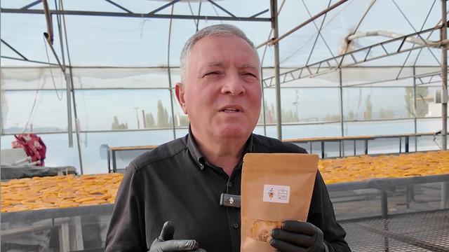 Yeni kazanç kapısı olacak, daha öncesinde tohum bankasını bulmuşlardı