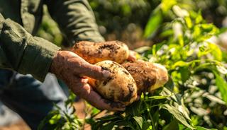 'Markette 25 TL' iddiaları gündem olmuştu!