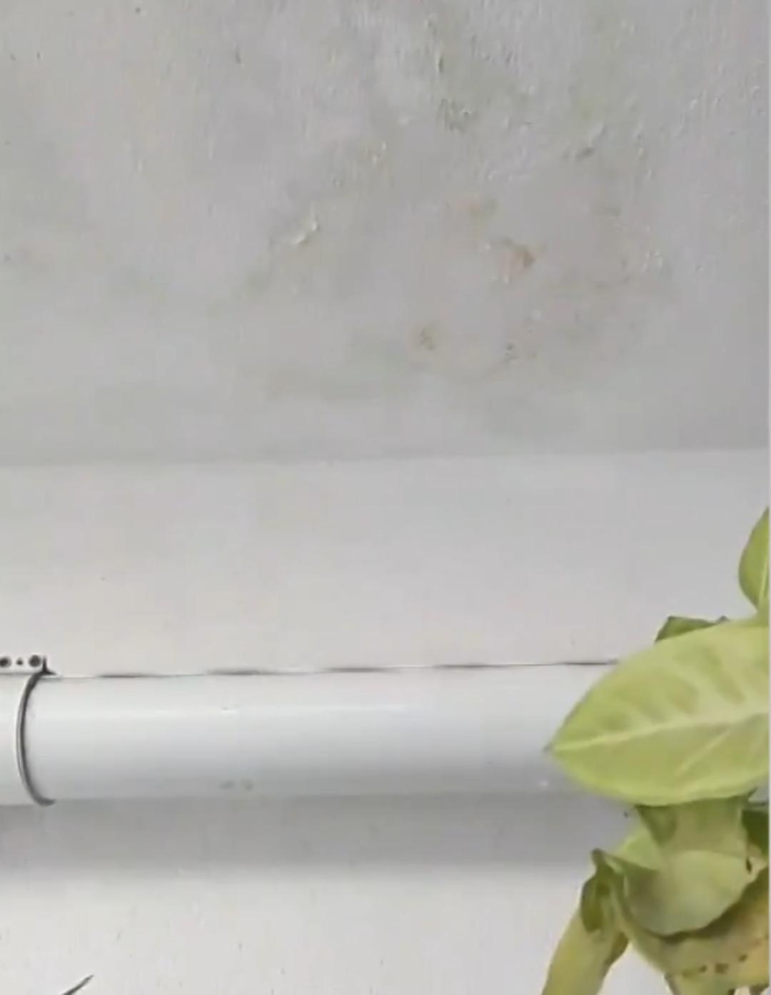 Eski kiracı dehşete düşürdü! Banyoda pusu kurdu: Gizlice saklanıp ev sahibine bıçakla saldırdı! 3