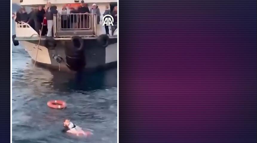 Üsküdar'da hareketli dakikalar! Bir kadın feribottan denize düştü: Vatandaşlar seferber oldu
