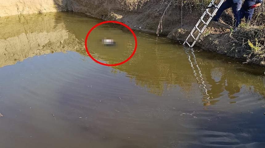 Antalya'da korkunç olay! Su dolu çukurdan kadın cesedi çıktı