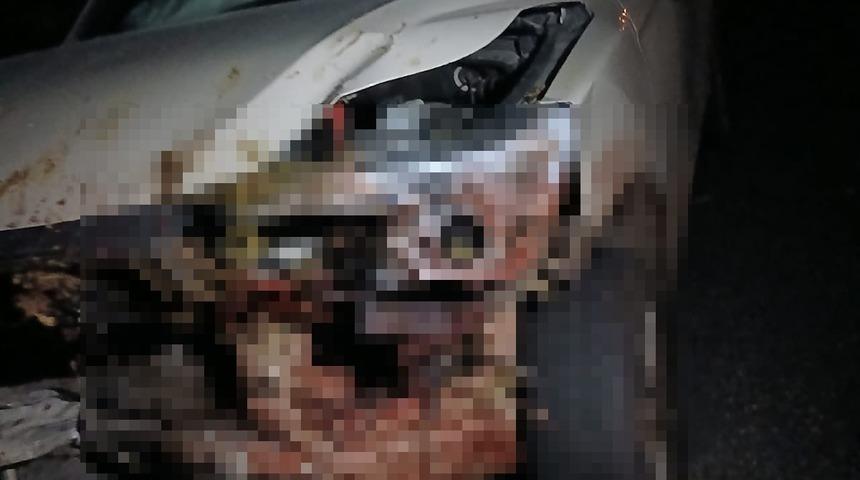 Elazığ&rsquo;da kamyonet s&uuml;r&uuml;ye &ccedil;arptı: 30 k&uuml;&ccedil;&uuml;kbaş hayvan telef oldu