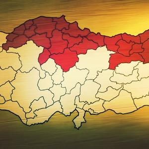 Türkiye'de kahverengi kokarca alarmı! Karadeniz'i sardı, Marmara ve Ege'de de görüldü... Uzmanlardan uyarı