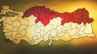 Türkiye'de kahverengi kokarca alarmı! Karadeniz'i sardı, Marmara ve Ege'de de görüldü... Uzmanlardan uyarı