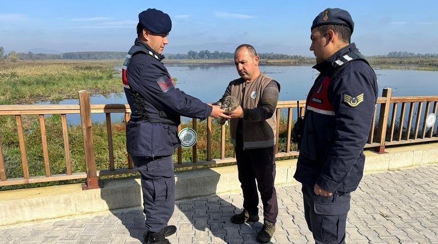 Jandarmanın hayvan sevgisi