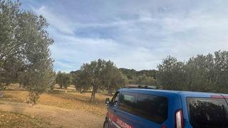 Aliağa’da zeytin hasadı başladı, güvenlik önlemleri artırıldı