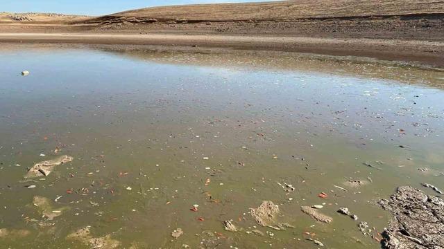 Siirt’te balık teleflerine karşı gölete 150 tonluk su takviyesi 2