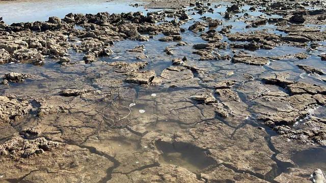 Siirt’te balık teleflerine karşı gölete 150 tonluk su takviyesi 1