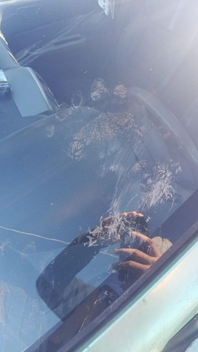 Gümüşhane’de ayı park halindeki araca saldırdı 3