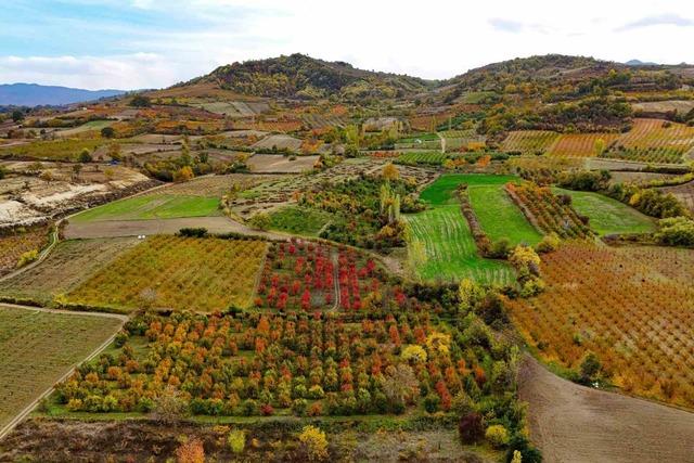 Sonbaharın renk cümbüşü Uludağ eteklerinde 6