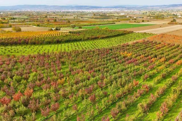 Sonbaharın renk cümbüşü Uludağ eteklerinde 4