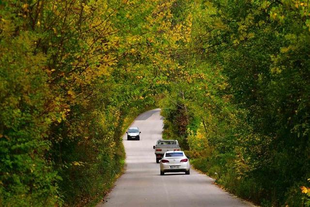 Sonbaharın renk cümbüşü Uludağ eteklerinde 3