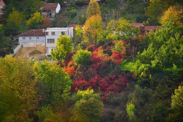 Sonbaharın renk cümbüşü Uludağ eteklerinde 2