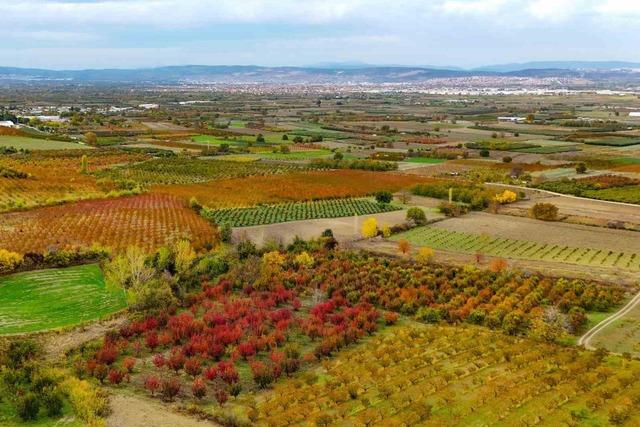 Sonbaharın renk cümbüşü Uludağ eteklerinde 1