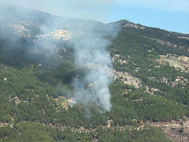 Muğla'da ormanlık alanda çıkan yangın kontrol altına alındı