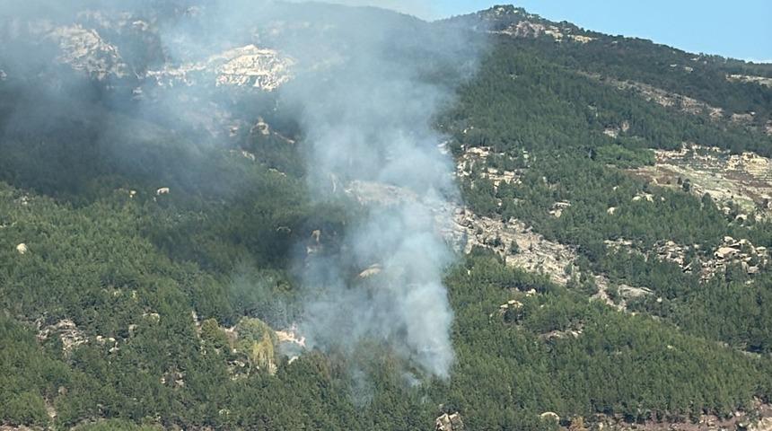 Muğla'da ormanlık alanda çıkan yangın kontrol altına alındı! Yaklaşık 1 hektar ormanlık ve makilik alan zarar gördü