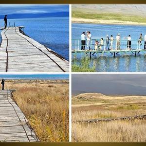 Van Gölü'ndeki büyük değişim! Sular çekildi, 17 yılda tanınmaz hale geldi