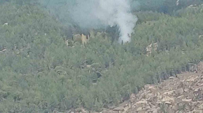 Kavaklıdere’deki orman yangını kontrol altına alındı