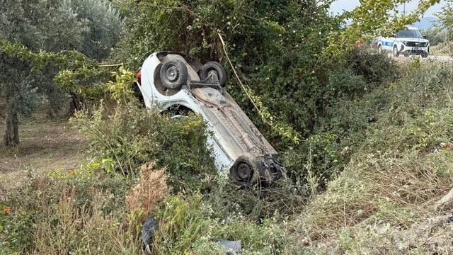 Sollama yaparken zeytinliğe uçtu 2