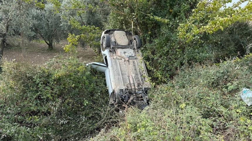 Sollama yaparken zeytinliğe uçtu