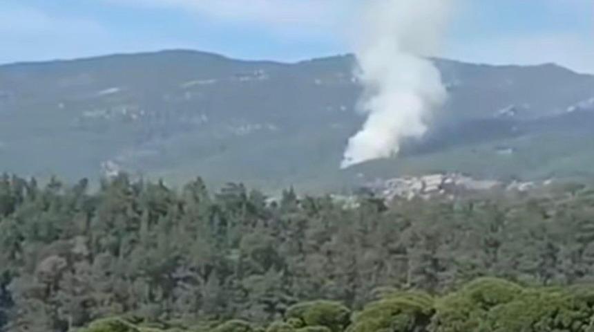 Muğla'da orman yangını