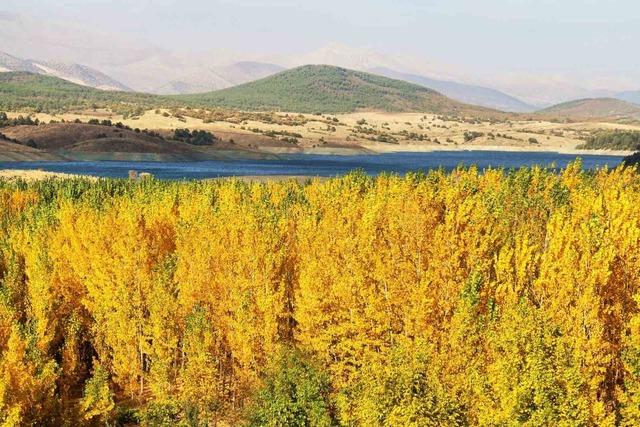 Adatepe Barajı etrafında kartpostallık görüntüler oluştu 4