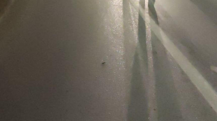 Otomobil ile motosiklet çarpıştı: 1’i ağır 2 yaralı