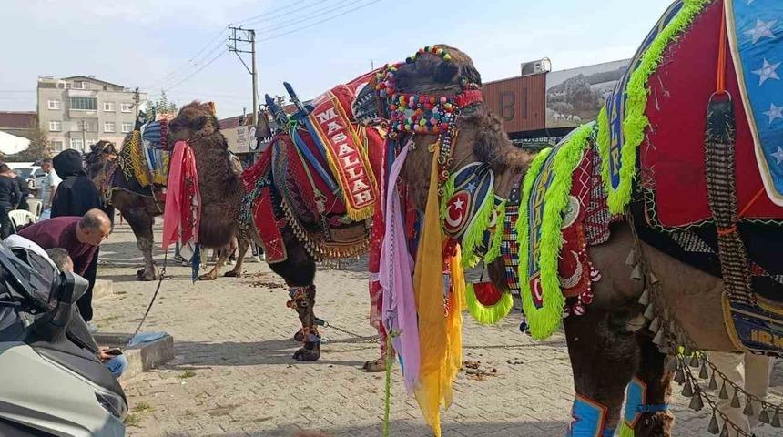 Çan’da havut giydirme hayrı düzenlendi