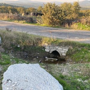 Çanakkale'da korkunç olay! Boş arazide bebek cesedi bulundu
