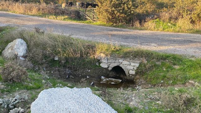 Çanakkale'da korkunç olay! Boş arazide bebek cesedi bulundu