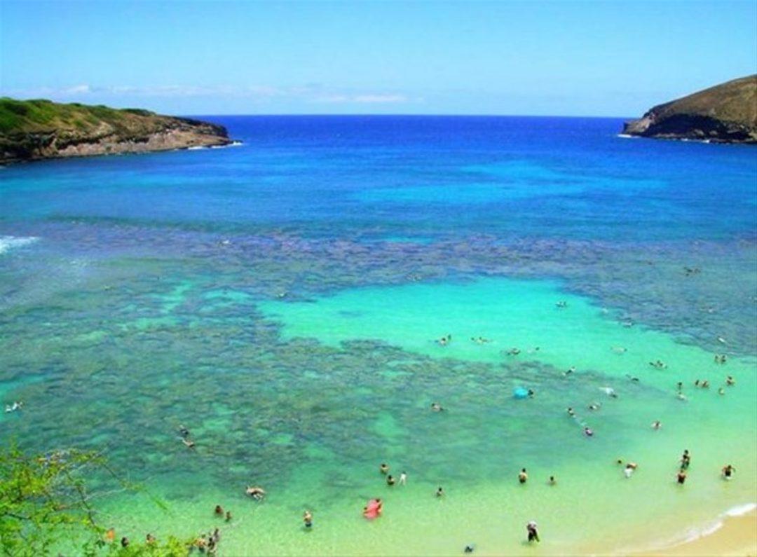 Подборка пляжей. Hanauma Bay Гавайи. Ханаума Бэй пляж. Гавайи чистая вода. Гавайи прозрачная вода фото.