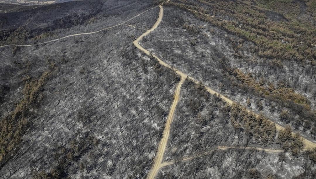 617 hektar orman küle dönmüştü! Yangın başlama sebebiyle ilgili kahreden şüphe 2