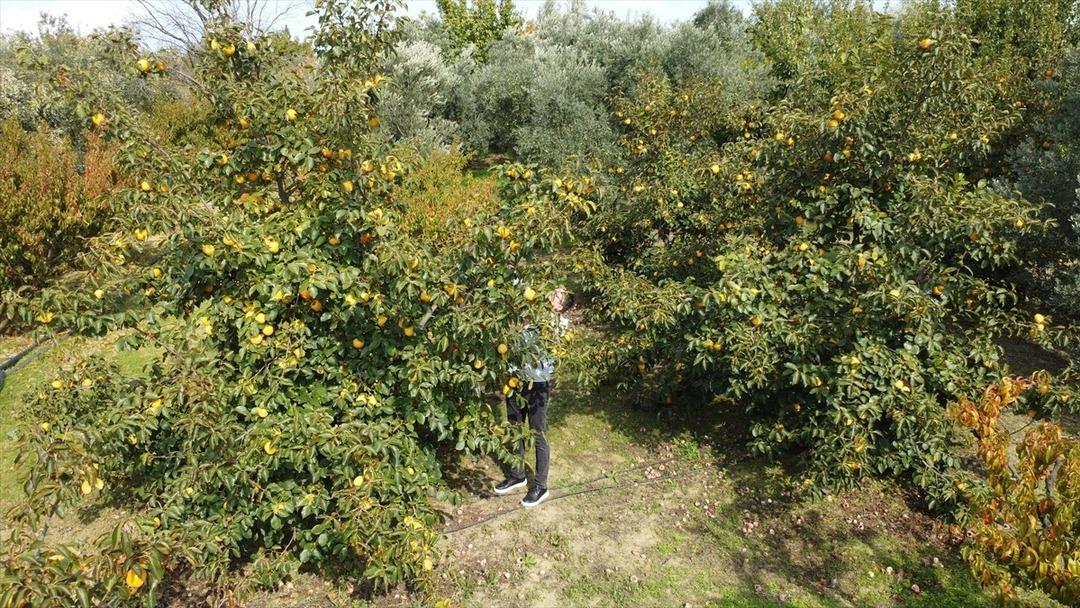 Kendi tasarladığı aletlerle üretiyor, 2 kat fazla kar elde ediyor: "500 liradan satışa sunuyorum" 3