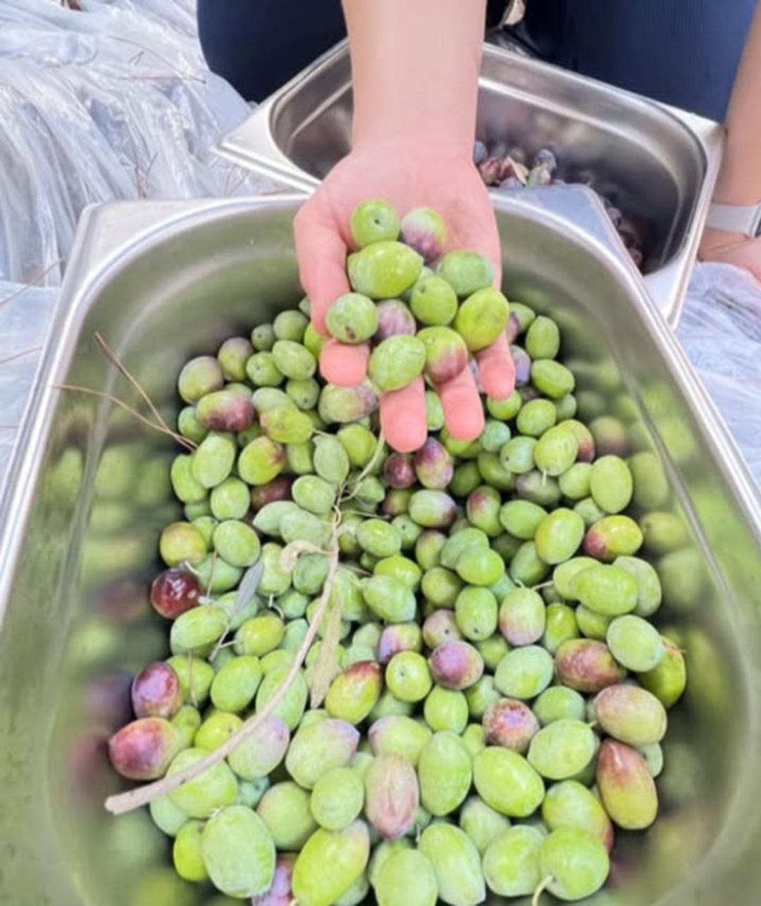 3834834_97f2946bc11ed624c54cc2b673232aec