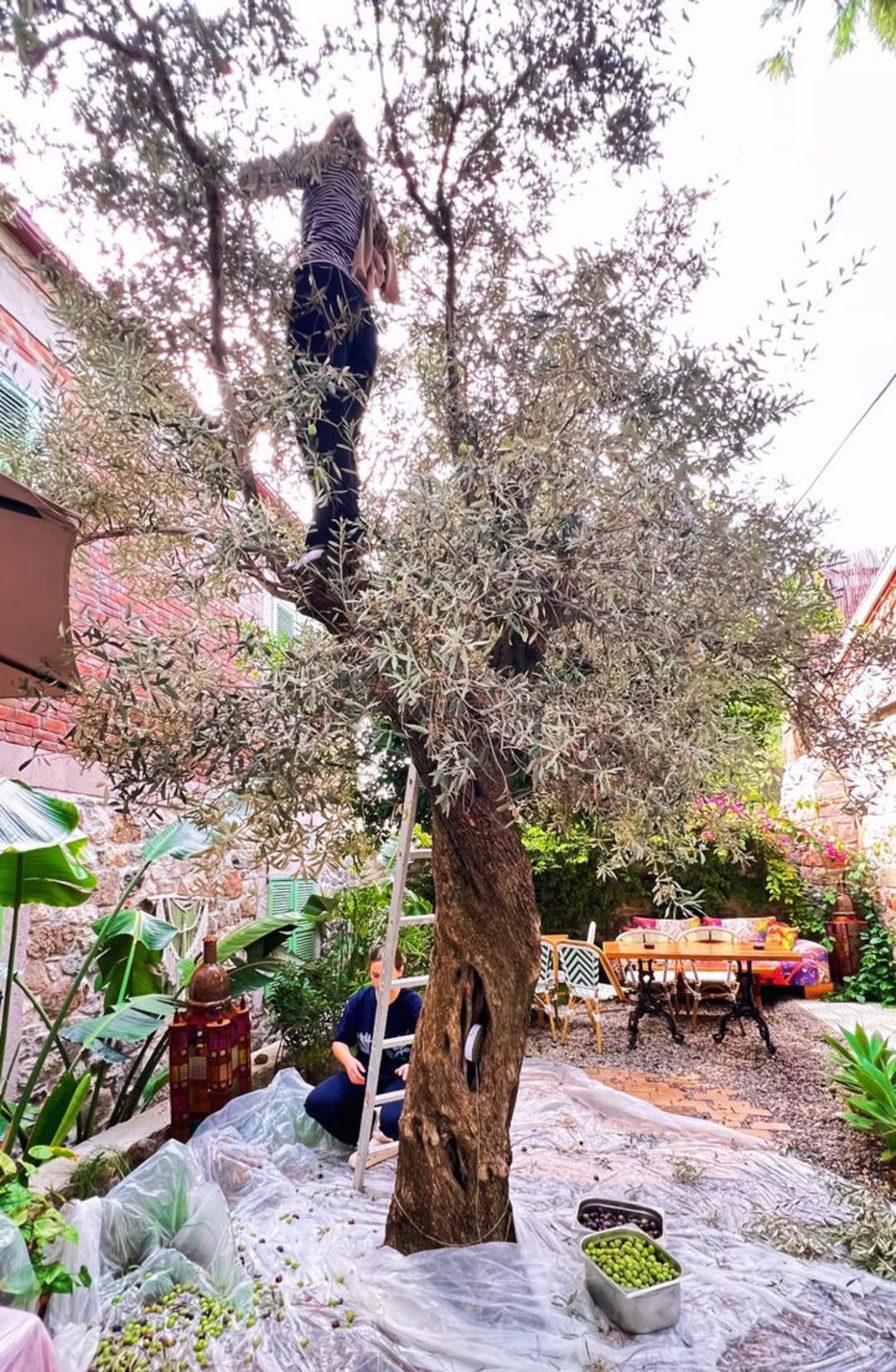 3834834_486993fe4a1e3c2362ee6ae92a91a455