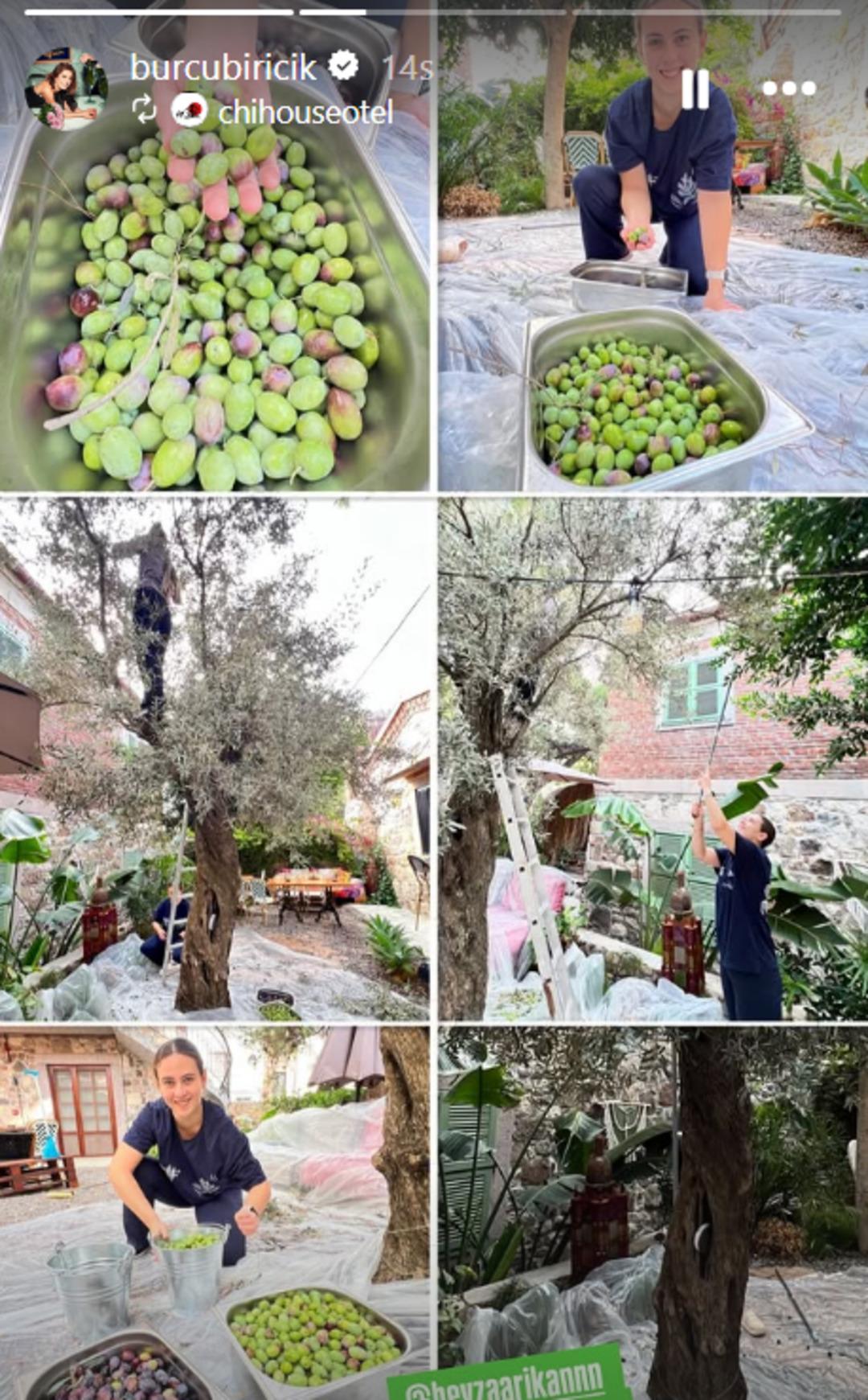 Ekran görüntüsü 2025-11-03 104657