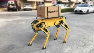 Robot köpek teknolojisi nedir, nerelerde kullanılır?