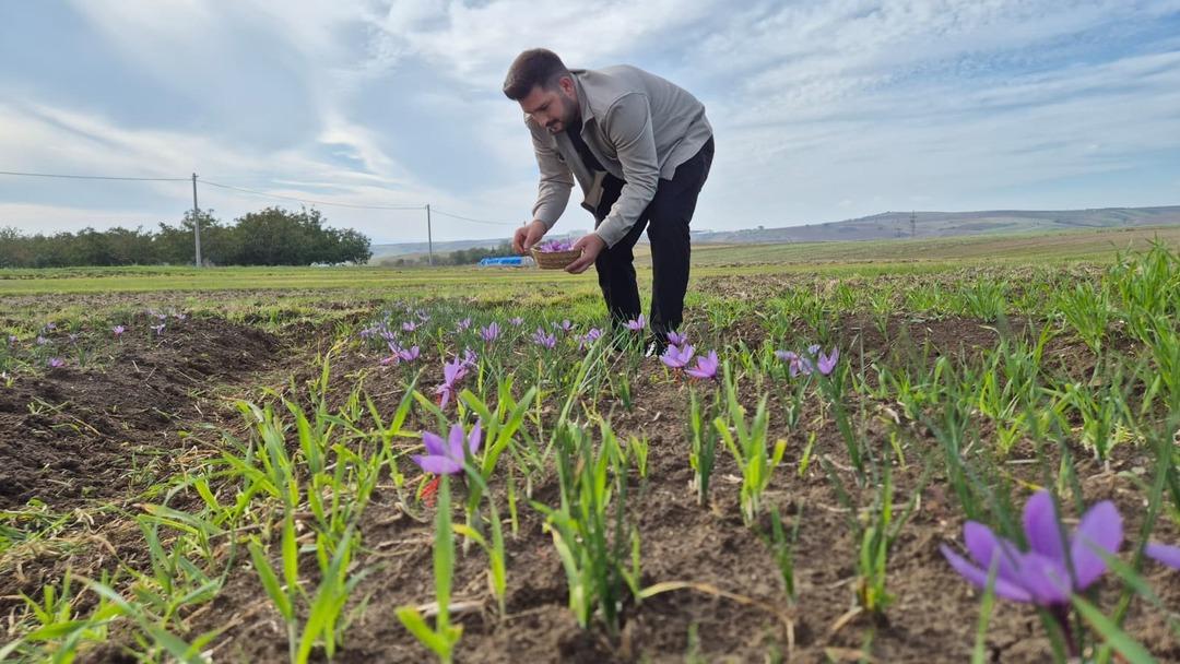  Çok bilinmiyor  Servet fışkırıyor! 600 bin TL...  Ucuz bile sayılır  3