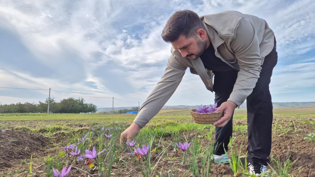  Çok bilinmiyor  Servet fışkırıyor! 600 bin TL...  Ucuz bile sayılır  2