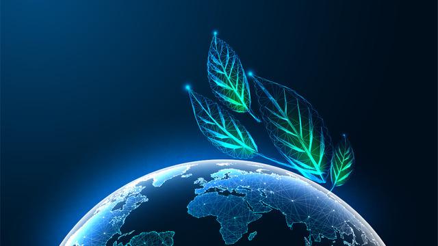 Dijital sürdürülebilirlik nedir, teknolojiyle nasıl sağlanır?