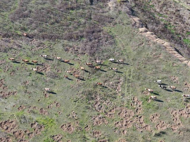 İzmir de alarm! Tarihin en düşük seviyesinde 3