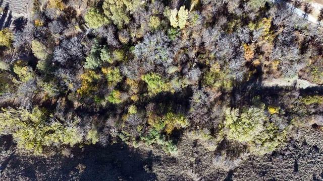 Koramaz’da sonbahar klasiği 2