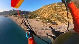 Fethiye'de kayalıklara düşen Rus paraşütçü hayatını kaybetti