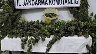 Mardin’de uyuşturucu operasyonunda 3 tutuklama