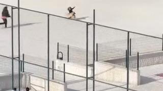 Okul bahçesine giren köpek çocuklara büyük panik yaşattı: O anlar kameraya yansıdı